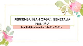 PERKEMBANGAN ORGAN GENETALIA
MANUSIA
Izmi Fadhilah Nasution S.Tr.Keb, M.Keb
 