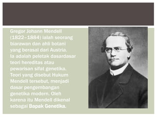 Gregor Johann Mendell
(1822–1884) ialah seorang
biarawan dan ahli botani
yang berasal dari Austria.
Ia adalah peletak dasardasar
teori hereditas atau
pewarisan sifat genetika.
Teori yang disebut Hukum
Mendell tersebut, menjadi
dasar pengembangan
genetika modern. Oleh
karena itu Mendell dikenal
sebagai Bapak Genetika.
 