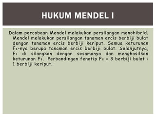 Dalam percobaan Mendel melakukan persilangan monohibrid.
Mendel melakukan persilangan tanaman ercis berbiji bulat
dengan tanaman ercis berbiji keriput. Semua keturunan
F₁-nya berupa tanaman ercis berbiji bulat. Selanjutnya,
F₁ di silangkan dengan sesamanya dan menghasilkan
keturunan F₂. Perbandingan fenotip F₂ = 3 berbiji bulat :
1 berbiji keriput.
HUKUM MENDEL I
 