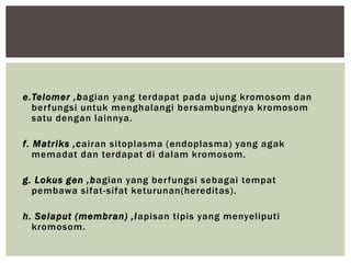 e.Telomer ,bagian yang terdapat pada ujung kromosom dan
berfungsi untuk menghalangi bersambungnya kromosom
satu dengan lainnya.
f. Matriks ,cairan sitoplasma (endoplasma) yang agak
memadat dan terdapat di dalam kromosom.
g. Lokus gen ,bagian yang berfungsi sebagai tempat
pembawa sifat-sifat keturunan(hereditas).
h. Selaput (membran) ,lapisan tipis yang menyeliputi
kromosom.
 