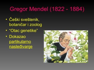 Gregor Mendel (1822 - 1884)
• Češki sveštenik,
  botaničar i zoolog
• “Otac genetike”
• Dokazao
  partikularno
  nasleđiva...