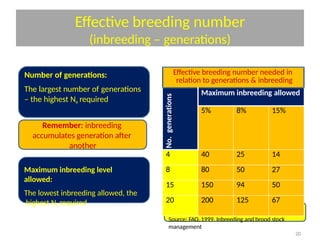 Training for Red hybrid tilapia breeding .pptx