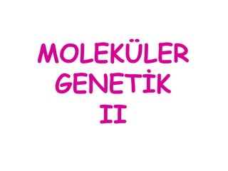 MOLEKÜLER
 GENETİK
    II
 