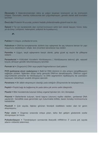 Ökromatin = Heterokromatinden daha az yoğun boyanan kromozom ya da kromozom
bölgesi. Ökromatin, interfaz nükleusunda tam yoğunlaşmayan, genetik olarak aktif kromatini
tanımlar.

Öncü dizi Proteinin N-ucunda, proteini hedefe yönlendirmekle görevli kısa bir dizi.

Öploid = Tür için karakteristik olan normal kromozom setini tam olarak taşıyan, hücre, doku
ya da birey ( anöploid, heteroploid, poliploid ile kıyaslayınız).

        -P-


Pakiten = I.mayoz, profazda bir evre.

Palindrom = DNA'da komplementer dizilerin baz eşleşmesi ile saç tokasına benzer bir yapı
oluşumunu destekleyen, bitişik, ters (inverted) tekrarlanan baz dizileri.

Panmiks = Uygun, seçili eşleşmenin karşıtı olarak, gelişi güzel eş seçimi ile çiftleşme
sistemi.

Paraseksüel = Kültürdeki hücrelerin hibridizasyonu ( hibridizasyona bakınız) gibi, eşeysel
boyutu olmayan genetik rekombinasyonu tanımlar.

Parmak izi = (fingerprint) DNA veya peptid fragmanlarının özel paterni.

PCR (polimeraz zincir reaksiyonu) = Belli bir DNA dizininin in vitro artışını (ampliflkasyon)
sağlayan yöntem. İlgilenilen diziye sahip genomik DNA'nın denatürasyonu, DNA'nın uygun
oligonükleotid pirimerler ile hibridizasyonu ve DNA segmentinin replikasyonu ile uzamasını
kapsayan, tekrarlayan sıcaklık döngüsü işlemidir.

Penetrans = Bir allelin ekspresyon olasılığı yada sıklığıdır (Ekspresivite ile karşılaştırınız).

Peptid = Peptid bağı ile bağlanmış iki yada daha çok amino asilin bileşimidir,

Plastid = Bitki hücrelerinde bulunan birkaç organel tipinden biri. örn; kloroplast.

Plazmid = Bakterilerde bulunan, kendi başına (otonom) replike olabilen, çembersel DNA
yapılarıdır. Genellikle esas genomdan ayrı bulunmakla birlikte, bazen konakçı kromozomuna
katılabilirler.

Pleotrofi = Çok sayıda, ilişkisiz görünen fenotipik özelliklere neden olan bir genin
ekspresyonu.

Polar cisim = Oogenez sırasında ortaya çıkan, daha ileri gelişim göstererek oosite
dönüşmeyen bir hücre.

Poliadenilasyon = Transkripsiyon sonrasında ökaryotik mRNA'nın 3' ucuna çok sayıda
adenin nükleotid eklenmesi.
 