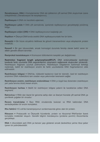 Renatürasyon, DNA = Komplementer DNA tek ipliklerinin çift sarmal DNA oluşturmak üzere
birleştirilmesi ( Denatürasyon ile karşılaştırınız).

Replikasyon = DNA nın kendisini eşlemesi.

Replikasyon çatalı = DNA çift sarmalında, içerisinde replikasyonun gerçekleştiği çözülmüş
bölge.

Replikasyon orijini (ORI) = DNA replikasyonunun başladığı yer.

Replikon = Ökaryot DNA'sında aralıklı DNA replikasyonundaki her bir birim.

Reseptör = Bir hücre sinyalinin iletilmesi ile görevli transmembran veya sitoplazmik protein
molekülü.

Resesif = Bir gen lokusundaki, ancak homozigot durumda fenotip olarak belirti veren bir
allelin genetik etkisini tanımlar.

Resiprokal translokasyon = Kromozom bölümlerinin karşılıklı yer değiştirmesi.

Restriction fragment length polymorphism(RFLP): DNA endonukleazlar tarafından
kesilerek farklı uzunlukta DNA segmentlerinin oluşmasını sağlanarak oluşturulan yöntemdir.
Restriksiyon fragmanı uzunluk polimorfizmi. Restriksiyon bölgelerinin kalıtımsal farklılığı
nedeniyle, belirli bir restriksiyon enzimi ile farklı uzunluklarda DNA fragmanlarının elde
edilmesidir.

Restriksiyon bölgesi = DNA'da, nükleotid bazlarının özel bir dizinidir, özel bir restriksiyon
enziminin DNA molekülünü tam oradan veya yakınından kesmesini sağlar.

Restriksiyon enzimi, restriksiyon endonükleaz = DNA yı özgül baz dizisinden (restriksiyon
yeri yada tanıma dizisi) kesen enzim.

Restriksiyon haritası = Belirli bir restriksiyon bölgesi paterni ile karakterize edilen DNA
segmenti.

Retrovirus = RNA dan ibaret bir genoma sahip olan ve ökaryot hücrede çift sarmal DNA ya
çevrilerek çoğalan bir virusdur.

Revers transkriptaz = Bazı RNA viruslarında bulunan ve RNA kalıbından DNA
sentezleyebilen bir enzim kompleksi.

Rho faktörü = E.coli'de transkripsiyonun sonlanmasında görev alan bir protein.

Ribozom = Prokaryotik ve Ökaryotik hücrelerde, protein ve ribozomal RNA'lardan ibaret
kompleks moleküler oluşum. Genetik bilginin translasyonu (proteine çevrimi) ribozomlarda
gerçekleşir.

RNA = (ribonükleik asit) DNA ya benzer yapı gösteren ancak deoksiriboz yerine riboz şeker
içeren bir polinükleotiddir.
 