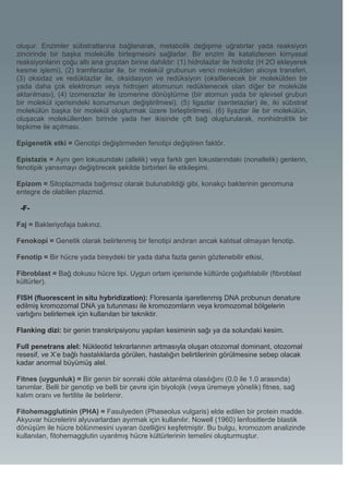 oluşur. Enzimler sübstratlarına bağlanarak, metabolik değişime uğratırlar yada reaksiyon
zincirinde bir başka molekülle birleşmesini sağlarlar. Bir enzim ile katalizlenen kimyasal
reaksiyonların çoğu altı ana gruptan birine dahildir: (1) hidrolazlar ile hidroliz (H 2O ekleyerek
kesme işlemi), (2) tramferazlar ile, bir molekül grubunun verici molekülden alıcıya transferi,
(3) oksidaz ve redüktazlar ile, oksidasyon ve redüksiyon (oksitlenecek bir molekülden bir
yada daha çok elektronun veya hidrojen atomunun redüklenecek olan diğer bir moleküle
aktarılması), (4) izomerazlar ile izomerine dönüştürme (bir atomun yada bir işlevsel grubun
bir molekül içerisindeki konumunun değiştirilmesi), (5) ligazlar (sentetazlar) ile, iki sübstrat
molekülün başka bir molekül oluşturmak üzere birleştirilmesi, (6) liyazlar ile bir molekülün,
oluşacak moleküllerden birinde yada her ikisinde çift bağ oluşturularak, nonhidrolitik bir
tepkime ile açılması.

Epigenetik etki = Genotipi değiştirmeden fenotipi değiştiren faktör.

Epistazis = Aynı gen lokusundaki (allelik) veya farklı gen lokuslarındaki (nonallelik) genlerin,
fenotipik yansımayı değiştirecek şekilde birbirleri ile etkileşimi.

Epizom = Sitoplazmada bağımsız olarak bulunabildiği gibi, konakçı bakterinin genomuna
entegre de olabilen plazmid.

 -F-

Faj = Bakteriyofaja bakınız.

Fenokopi = Genetik olarak belirlenmiş bir fenotipi andıran ancak kalıtsal olmayan fenotip.

Fenotip = Bir hücre yada bireydeki bir yada daha fazla genin gözlenebilir etkisi,

Fibroblast = Bağ dokusu hücre tipi. Uygun ortam içerisinde kültürde çoğaltılabilir (fibroblast
kültürler).

FISH (fluorescent in situ hybridization): Floresanla işaretlenmiş DNA probunun denature
edilmiş kromozomal DNA ya tutunması ile kromozomların veya kromozomal bölgelerin
varlığını belirlemek için kullanılan bir tekniktir.

Flanking dizi: bir genin transkripsiyonu yapılan kesiminin sağı ya da solundaki kesim.

Full penetrans alel: Nükleotid tekrarlarının artmasıyla oluşan otozomal dominant, otozomal
resesif, ve X’e bağlı hastalıklarda görülen, hastalığın belirtilerinin görülmesine sebep olacak
kadar anormal büyümüş alel.

Fitnes (uygunluk) = Bir genin bir sonraki döle aktarılma olasılığını (0.0 ile 1.0 arasında)
tanımlar. Belli bir genotip ve belli bir çevre için biyolojik (veya üremeye yönelik) fitnes, sağ
kalım oranı ve fertilite ile belirlenir.

Fitohemagglutinin (PHA) = Fasulyeden (Phaseolus vulgaris) elde edilen bir protein madde.
Akyuvar hücrelerini alyuvarlardan ayırmak için kullanılır. Nowell (1960) lenfositlerde blastik
dönüşüm ile hücre bölünmesini uyaran özelliğini keşfetmiştir. Bu bulgu, kromozom analizinde
kullanılan, fitohemagglutin uyarılmış hücre kültürlerinin temelini oluşturmuştur.
 