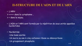 Base Azote genetique2an-acides_nucleiques2020sifi.pptx