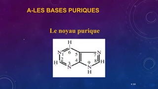 genetique2an-acides_nucleiques2020sifi.pptx