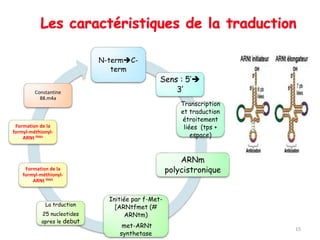 genetique2an medecine-traduction2020sifi.pptx