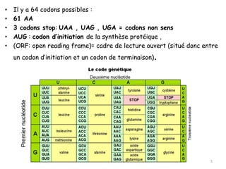 genetique2an medecine-traduction2020sifi.pptx
