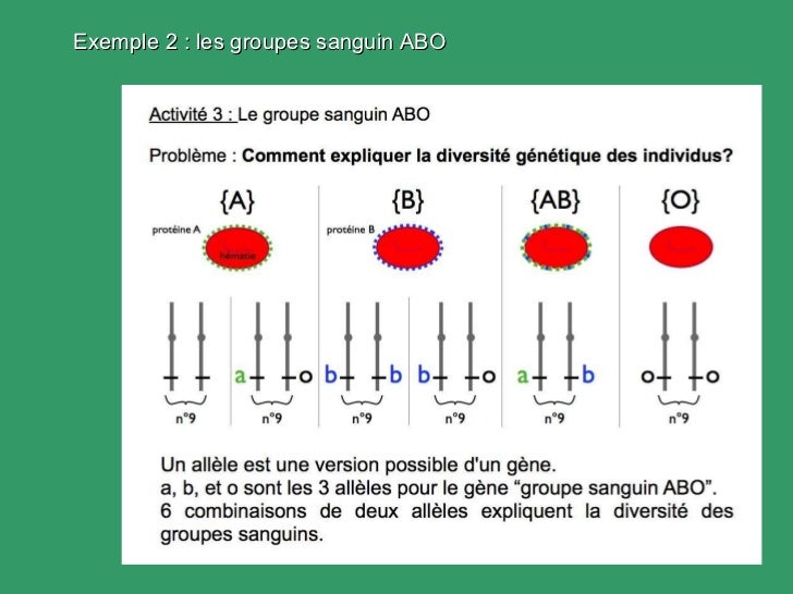 Rencontre spermatozoide ovule video
