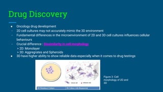 3D In Vitro Models for Drug Efficiency Testing | PDF