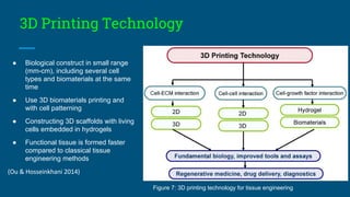 3D In Vitro Models for Drug Efficiency Testing