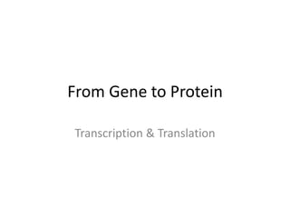 From Gene to Protein

Transcription & Translation
 