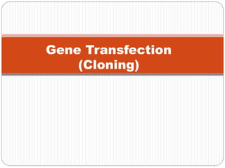Gene Transfection
(Cloning)
 