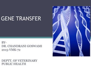 GENE TRANSFER
BY-
DR. CHANDRANI GOSWAMI
2015-VMK-72
DEPTT. OF VETERINARY
PUBLIC HEALTH
 