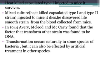 • Heat killed capsulated type I injected to mice it
survives.
• Mixed culture(heat killed capsulated type I and type II
strain) injected to mice it dies,he discovered life
smooth strain from the blood collected from mice.
• In 1944 Avery, Mcleod and Mc Carty found that the
factor that transform other strain was found to be
DNA.
• Transformation occurs naturally in some species of
bacteria , but it can also be effected by artificial
treatment in other species.
 