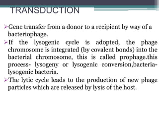 TRANSDUCTION
Gene transfer from a donor to a recipient by way of a
bacteriophage.
If the lysogenic cycle is adopted, the phage
chromosome is integrated (by covalent bonds) into the
bacterial chromosome, this is called prophage.this
process- lysogeny or lysogenic conversion,bacteria-
lysogenic bacteria.
The lytic cycle leads to the production of new phage
particles which are released by lysis of the host.
 