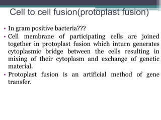 Cell to cell fusion(protoplast fusion)
• In gram positive bacteria???
• Cell membrane of participating cells are joined
together in protoplast fusion which inturn generates
cytoplasmic bridge between the cells resulting in
mixing of their cytoplasm and exchange of genetic
material.
• Protoplast fusion is an artificial method of gene
transfer.
 