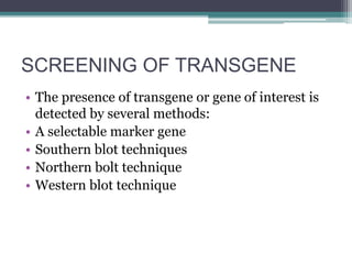 SCREENING OF TRANSGENE
• The presence of transgene or gene of interest is
detected by several methods:
• A selectable marker gene
• Southern blot techniques
• Northern bolt technique
• Western blot technique
 