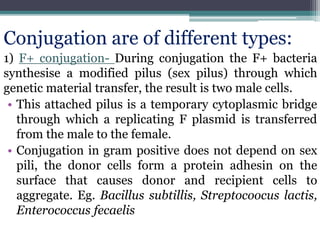 Conjugation are of different types:
1) F+ conjugation- During conjugation the F+ bacteria
synthesise a modified pilus (sex pilus) through which
genetic material transfer, the result is two male cells.
• This attached pilus is a temporary cytoplasmic bridge
through which a replicating F plasmid is transferred
from the male to the female.
• Conjugation in gram positive does not depend on sex
pili, the donor cells form a protein adhesin on the
surface that causes donor and recipient cells to
aggregate. Eg. Bacillus subtillis, Streptocoocus lactis,
Enterococcus fecaelis
 