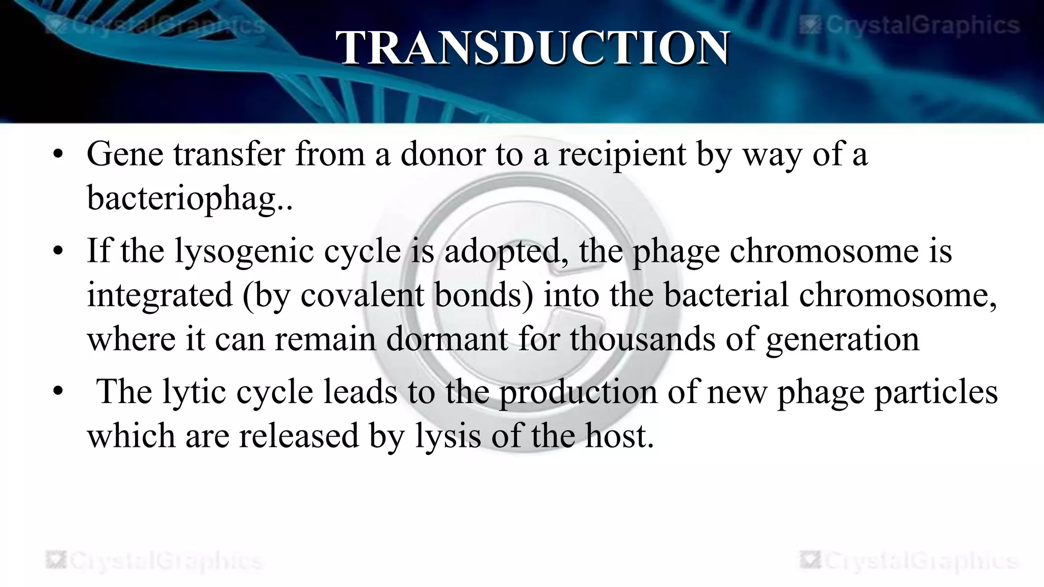 Gene transfer (2) PPT