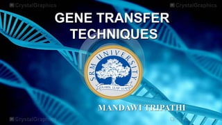GENE TRANSFER
TECHNIQUES
MANDAWI TRIPATHI
 