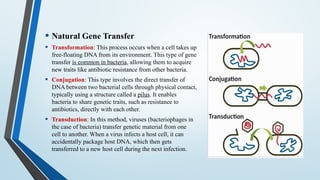TECHNIQUES OF GENE TRANSFER AND GENE TRANSFER METHODS | PPTX