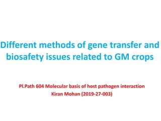 Different methods of gene transfer and
biosafety issues related to GM crops
Pl.Path 604 Molecular basis of host pathogen interaction
Kiran Mohan (2019-27-003)
 