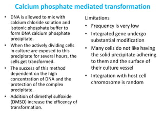 • DNA is allowed to mix with
calcium chloride solution and
isotonic phosphate buffer to
form DNA calcium phosphate
precipitate.
• When the actively dividing cells
in culture are exposed to this
precipitate for several hours, the
cells get transformed.
• The success of this method
dependent on the high
concentration of DNA and the
protection of the complex
precipitate.
• Addition of dimethyl sulfoxide
(DMSO) increase the efficency of
transformation.
Limitations
• Frequency is very low
• Integrated gene undergo
substantial modification
• Many cells do not like having
the solid precipitate adhering
to them and the surface of
their culture vessel
• Integration with host cell
chromosome is random
Calcium phosphate mediated transformation
 
