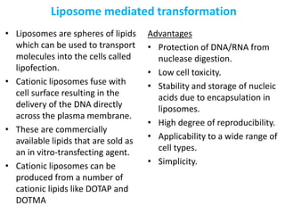 • Liposomes are spheres of lipids
which can be used to transport
molecules into the cells called
lipofection.
• Cationic liposomes fuse with
cell surface resulting in the
delivery of the DNA directly
across the plasma membrane.
• These are commercially
available lipids that are sold as
an in vitro-transfecting agent.
• Cationic liposomes can be
produced from a number of
cationic lipids like DOTAP and
DOTMA
Advantages
• Protection of DNA/RNA from
nuclease digestion.
• Low cell toxicity.
• Stability and storage of nucleic
acids due to encapsulation in
liposomes.
• High degree of reproducibility.
• Applicability to a wide range of
cell types.
• Simplicity.
Liposome mediated transformation
 