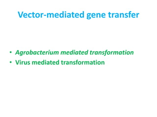 Vector-mediated gene transfer
• Agrobacterium mediated transformation
• Virus mediated transformation
 
