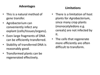 Advantages
• This is a natural method of
gene transfer.
• Agrobacterium can
conveniently infect any
explant (cells/tissues/organs).
• Even large fragments of DNA
can be efficiently transferred.
• Stability of transferred DNA is
reasonably good.
• Transformed plants can be
regenerated effectively.
Limitations
• There is a limitation of host
plants for Agrobacterium,
since many crop plants
(monocotyledons e.g.
cereals) are not infected by
it.
• The cells that regenerate
more efficiently are often
difficult to transform.
 
