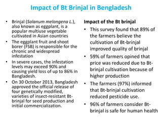 Impact of Bt Brinjal in Bengladesh
• Brinjal (Solanum melongena L.),
also known as eggplant, is a
popular multiuse vegetable
cultivated in Asian countries
• The eggplant fruit and shoot
borer (FSB) is responsible for the
chronic and widespread
infestation
• In severe cases, the infestation
levels may exceed 90% and
causing yield loss of up to 86% in
Bangladesh.
• On 30 October 2013, Bangladesh
approved the official release of
four genetically modified,
varieties of insect-resistant Bt-
brinjal for seed production and
initial commercialization.
Impact of the Bt brinjal
• This survey found that 89% of
the farmers believe the
cultivation of Bt-brinjal
improved quality of brinjal
• 59% of farmers opined that
price was reduced due to Bt-
brinjal cultivation because of
higher production
• The farmers (97%) informed
that Bt-brinjal cultivation
reduced pesticide use.
• 96% of farmers consider Bt-
brinjal is safe for human health
 
