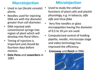Macroinjection
• Used in rye (Secale cereale)
plants.
• Needles used for injecting
DNA are with the diameter
greater than cell diameter.
• DNA injected with
conventional syringe into
region of plant which will
develop into floral tillers.
• Timing of injection is
important and should be
fourteen days before
meiosis.
• Dela Pena and coworkers in
1987.
• Used to study the cellular
functions of plant cells and plastid
physiology, e.g. in tobacco, alfa
alfa and Vicia faba
• Very fine needles or glass
micropipettes having the diameter
of 0.5 to 10 μm are used.
• Computerized control of holding
pipette, needle, microscope stage
and video technology has
improved the efficiency.
• Crossway and Reich in l986.
Microinjection
 