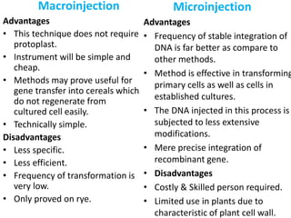 Macroinjection
Advantages
• This technique does not require
protoplast.
• Instrument will be simple and
cheap.
• Methods may prove useful for
gene transfer into cereals which
do not regenerate from
cultured cell easily.
• Technically simple.
Disadvantages
• Less specific.
• Less efficient.
• Frequency of transformation is
very low.
• Only proved on rye.
Microinjection
Advantages
• Frequency of stable integration of
DNA is far better as compare to
other methods.
• Method is effective in transforming
primary cells as well as cells in
established cultures.
• The DNA injected in this process is
subjected to less extensive
modifications.
• Mere precise integration of
recombinant gene.
• Disadvantages
• Costly & Skilled person required.
• Limited use in plants due to
characteristic of plant cell wall.
 