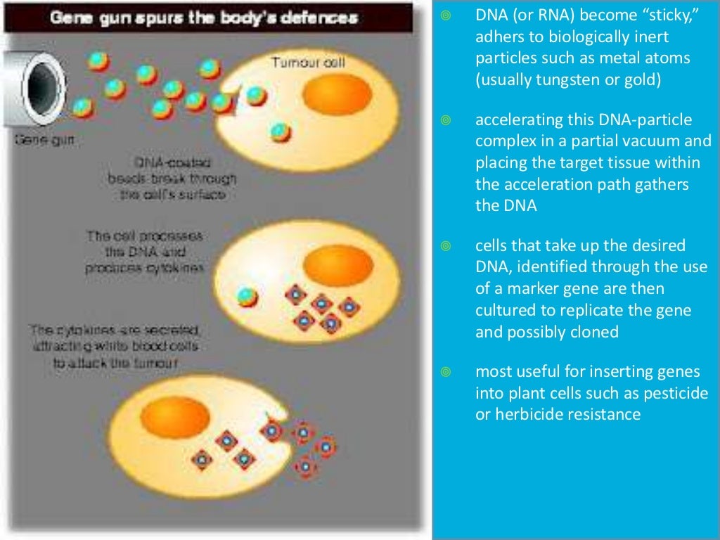 Gene Transfer By Physical Methods
