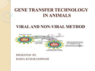 GENE TRANSFER TECHNOLOGY
IN ANIMALS
VIRALAND NON-VIRAL METHOD
PRESENTED BY,
RAHUL KUMAR GOSWAMI
 