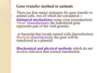 Gene transfer in animals