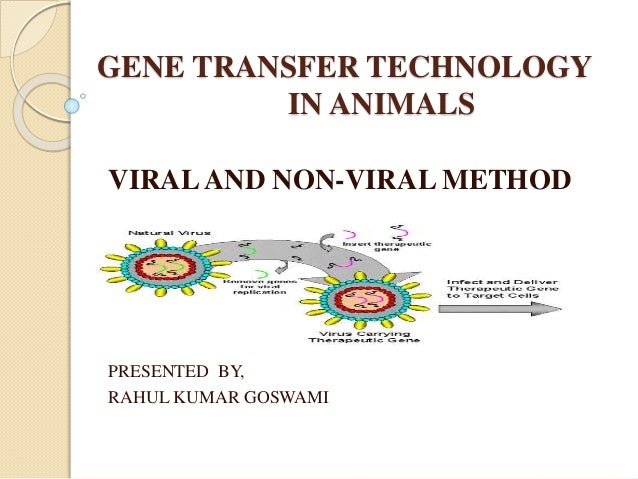 Gene Transfer In Animals