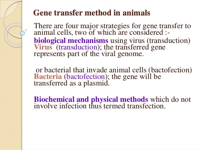 Gene Transfer In Animals