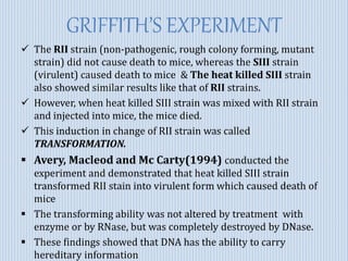 GRIFFITH’S EXPERIMENT
 The RII strain (non-pathogenic, rough colony forming, mutant
strain) did not cause death to mice, whereas the SIII strain
(virulent) caused death to mice & The heat killed SIII strain
also showed similar results like that of RII strains.
 However, when heat killed SIII strain was mixed with RII strain
and injected into mice, the mice died.
 This induction in change of RII strain was called
TRANSFORMATION.
 Avery, Macleod and Mc Carty(1994) conducted the
experiment and demonstrated that heat killed SIII strain
transformed RII stain into virulent form which caused death of
mice
 The transforming ability was not altered by treatment with
enzyme or by RNase, but was completely destroyed by DNase.
 These findings showed that DNA has the ability to carry
hereditary information
 