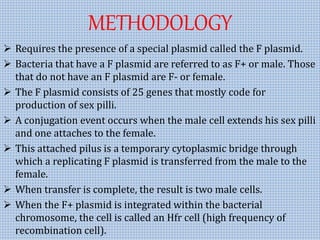 METHODOLOGY
 Requires the presence of a special plasmid called the F plasmid.
 Bacteria that have a F plasmid are referred to as F+ or male. Those
that do not have an F plasmid are F- or female.
 The F plasmid consists of 25 genes that mostly code for
production of sex pilli.
 A conjugation event occurs when the male cell extends his sex pilli
and one attaches to the female.
 This attached pilus is a temporary cytoplasmic bridge through
which a replicating F plasmid is transferred from the male to the
female.
 When transfer is complete, the result is two male cells.
 When the F+ plasmid is integrated within the bacterial
chromosome, the cell is called an Hfr cell (high frequency of
recombination cell).
 