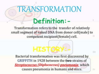 Definition:-
Transformation refers to the transfer of relatively
small segment of naked DNA from donor cell(male) to
competent recipient(female) cell.
HISTORY:-
Bacterial transformation was first discovered by
GRIFFITH in 1928 between the two strains of
Streptococcus (Diplococcus) pneumonia which
causes pneumonia in humans and mice.
TRANSFORMATION
 