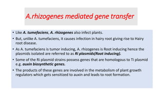 Gene transfer in plants | PPTX