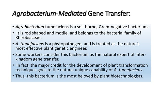 Gene transfer in plants | PPTX | Genetics | Science