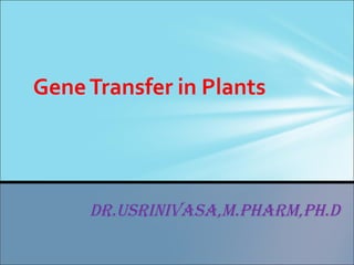 Dr.usrinivasa,m.Pharm,Ph.D
GeneTransfer in Plants
 