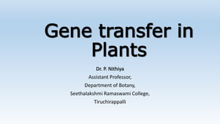 Gene transfer in
Plants
Dr. P. Nithiya
Assistant Professor,
Department of Botany,
Seethalakshmi Ramaswami College,
Tiruchirappalli
 