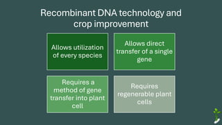 Recombinant DNA technology and
crop improvement
Allows utilization
of every species
Allows direct
transfer of a single
gene
Requires a
method of gene
transfer into plant
cell
Requires
regenerable plant
cells
 