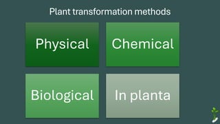 Plant transformation methods
Physical Chemical
Biological In planta
 